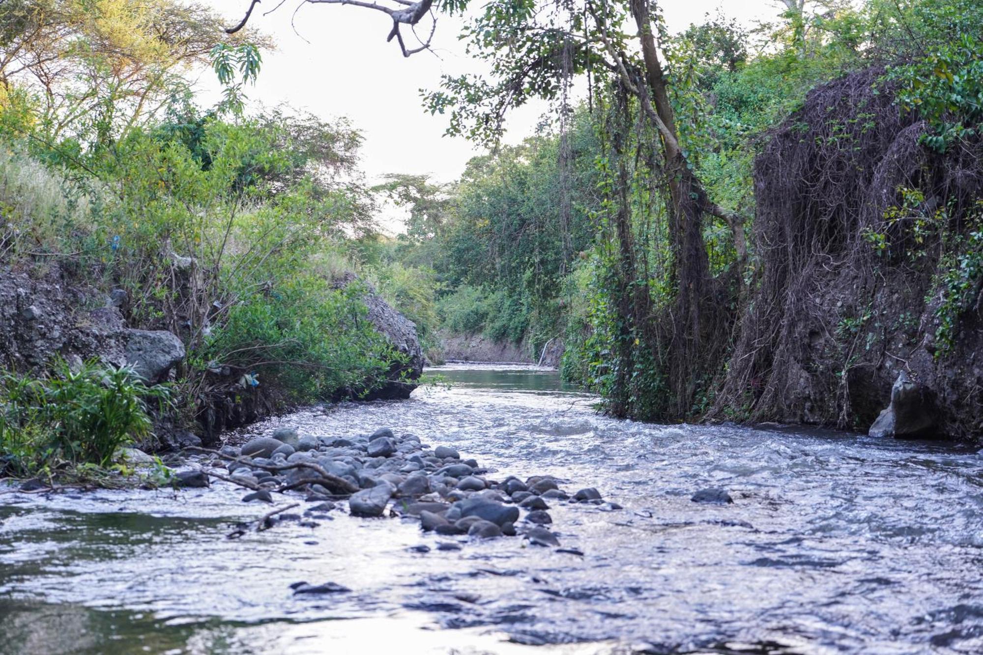 Kili Seasons Hotel Arusha Buitenkant foto